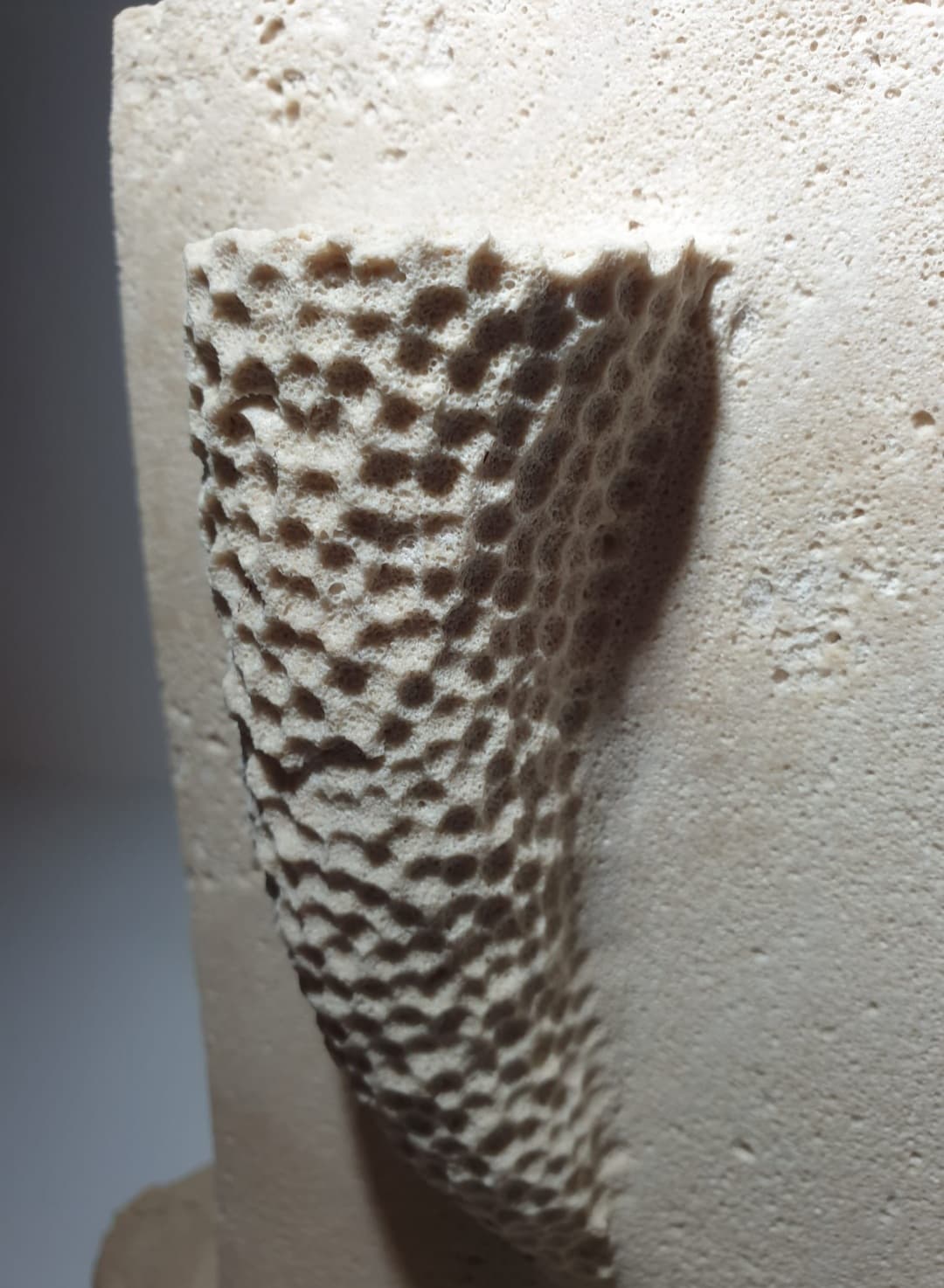 Detalle de la textura rugosa propia de la piedra de Santanyí.