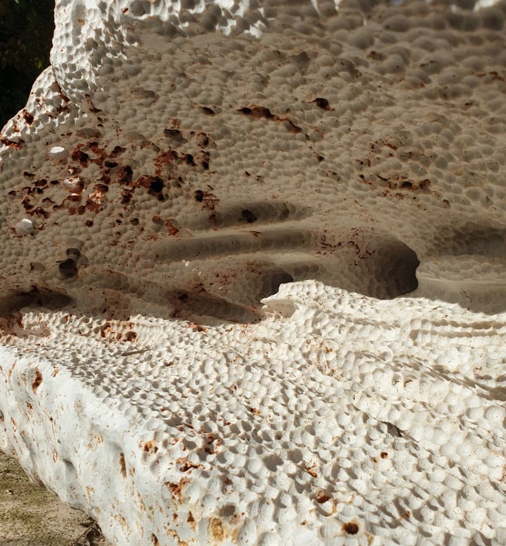 Detalle de relieve.
