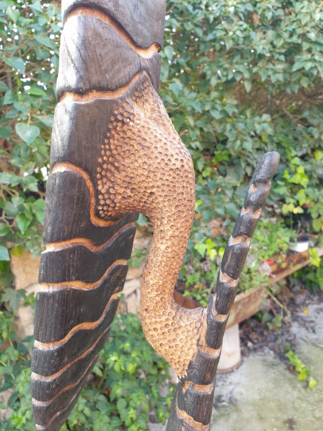 Rear view of a leaf and part of the stem.