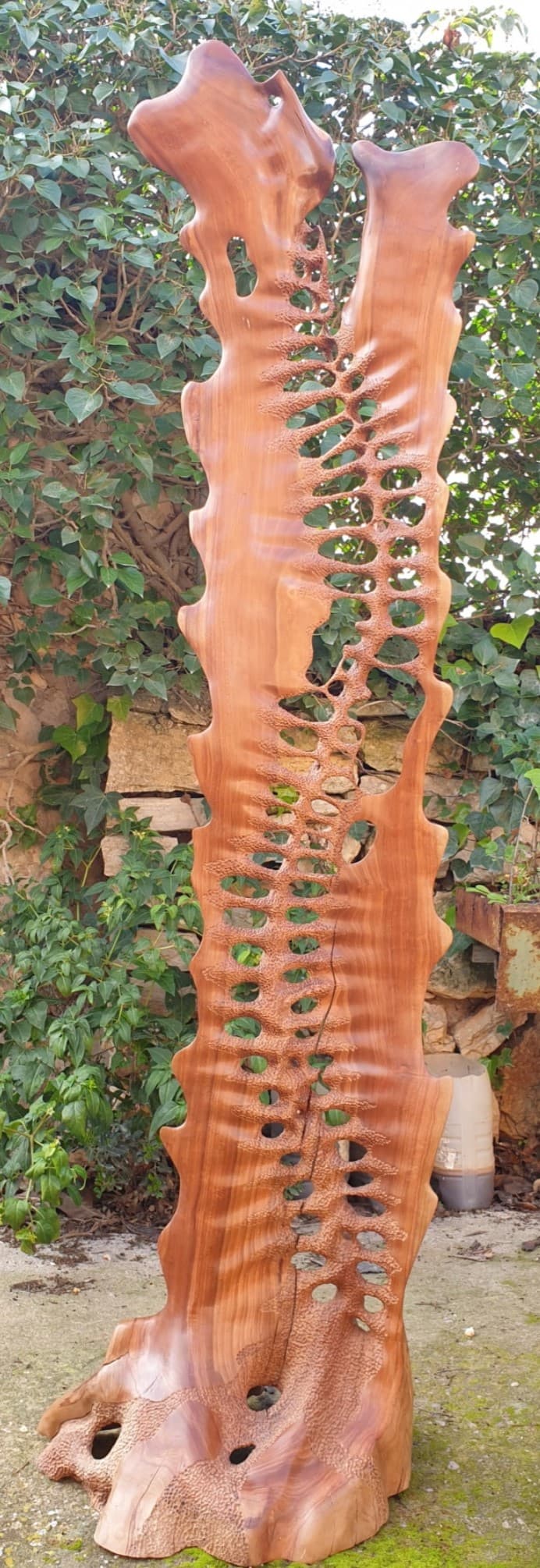 Back view.