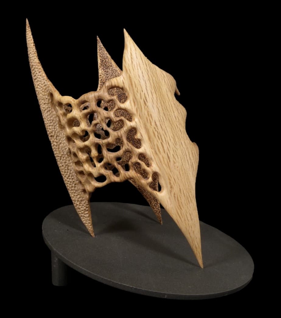 Escultura en madera simulando una estructura orgánica imaginaria.