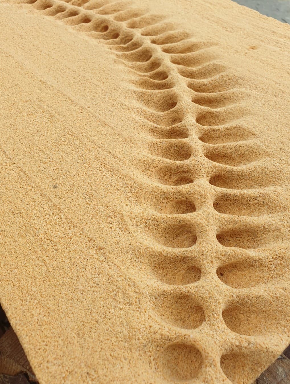 Detalle esculpido de la columna vertebral.