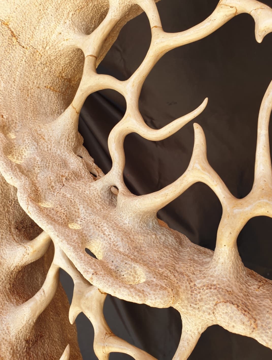 Close-up view of the textures conferred on the sculpture "Ciaboga".