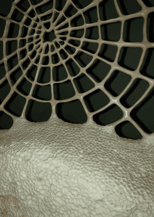 Zoom texturas escultura Telaraña