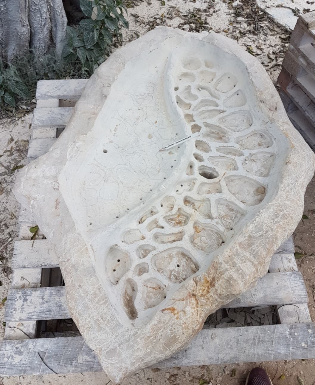 Image of the sculpture "Ciaboga" in the process of sculpting.