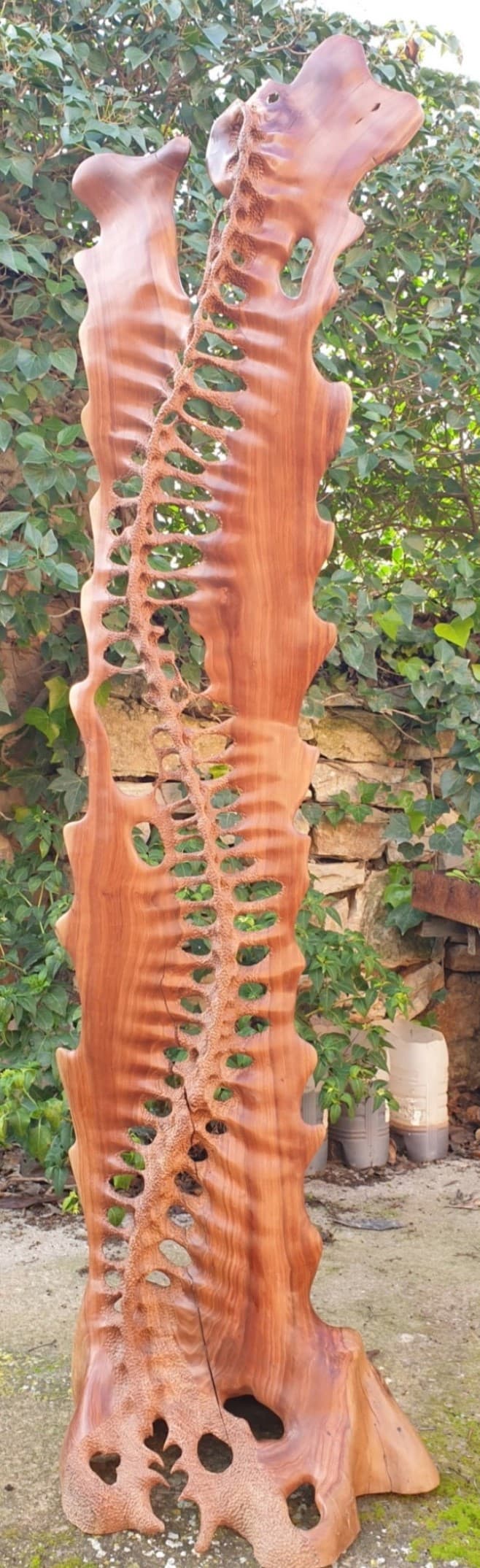Front view of the sculpture where the sinuosity of the sculpture's spine can be appreciated.