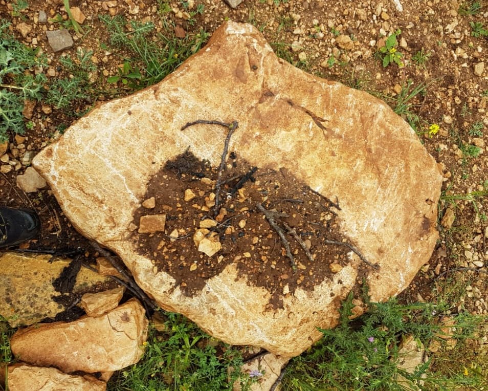 Image of the rock from which the sculpture "Ciaboga" was sculpted.