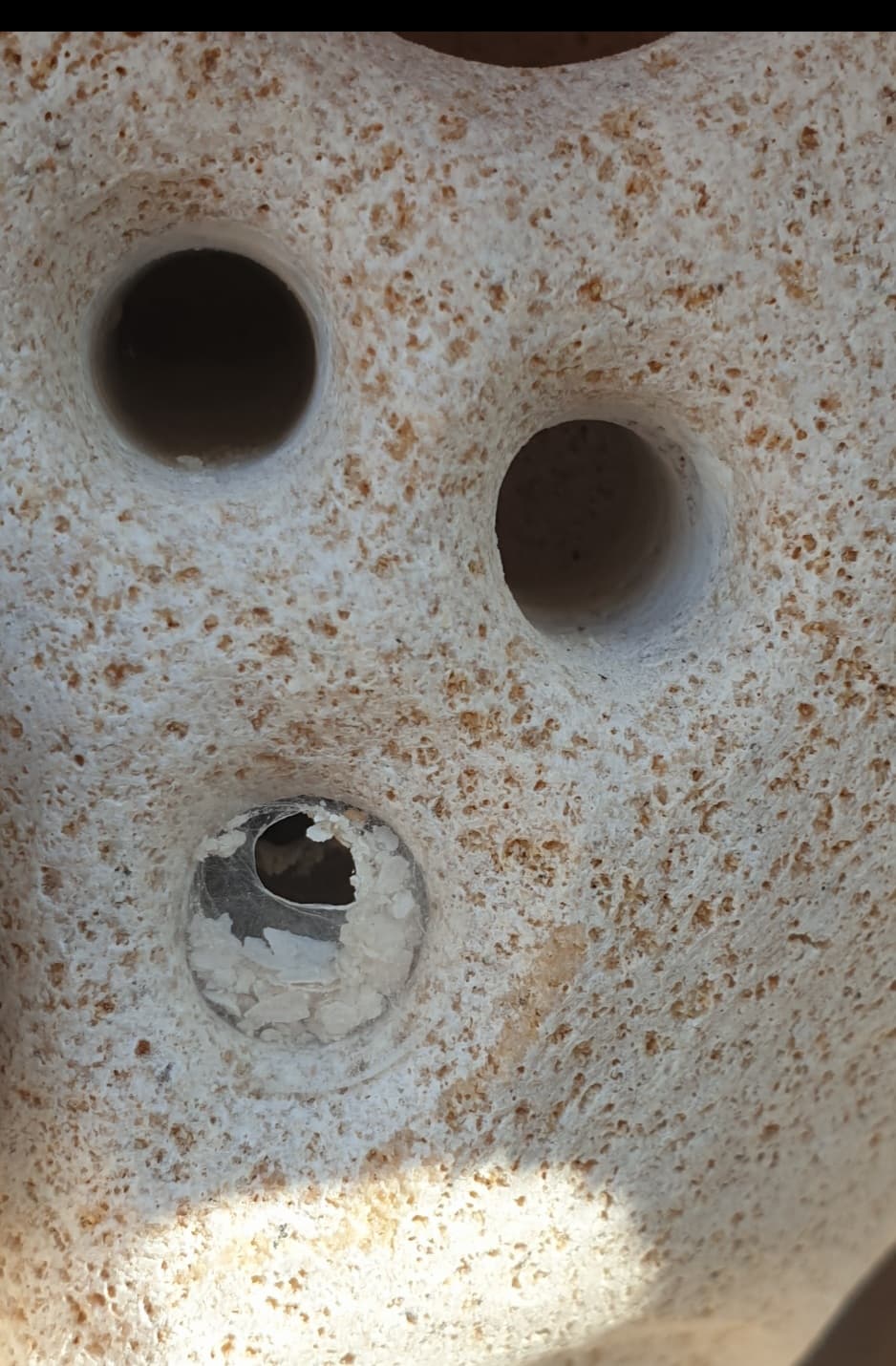 detalle de una de las perforaciones convertida en el hogar de una pequeña araña. 