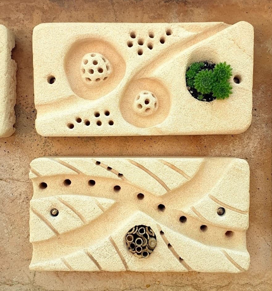 Paneles de Pared Viva con perforaciones para insectos,uno con una planta y otro con cañas de bambú.