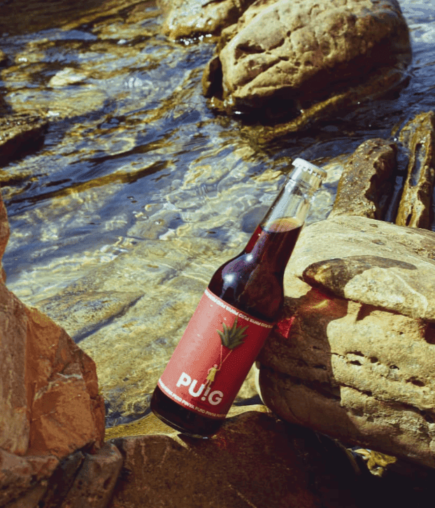 Refresco de piña sobre rocas y fondo natural