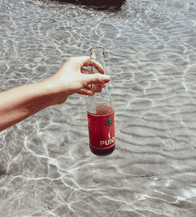 Mano sujetando botella de refresco pinya con fondo del mar