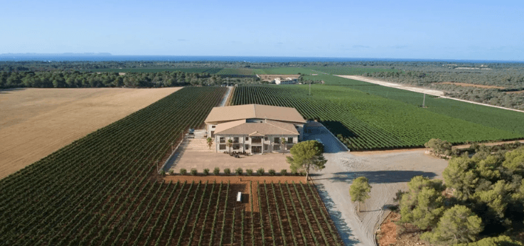 Imagen a vista de pájaro de bodegas vi rei rodeada de viñedos