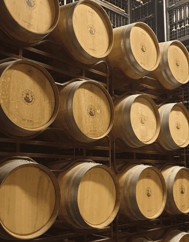 Una pequeña muestra de las barricas bodega Vi rei