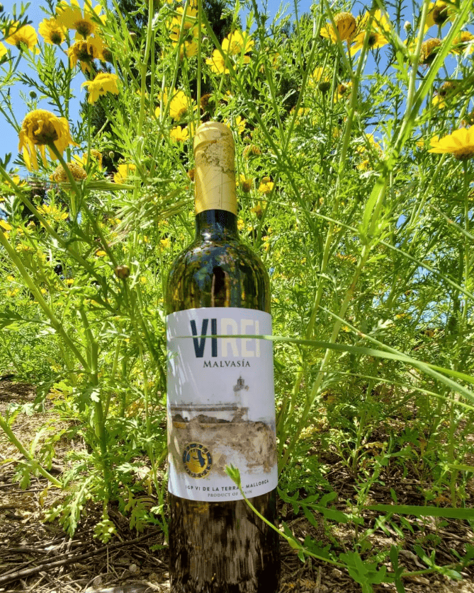 Botella de Vino Malvasía entre flores amarillas y tallos verdes