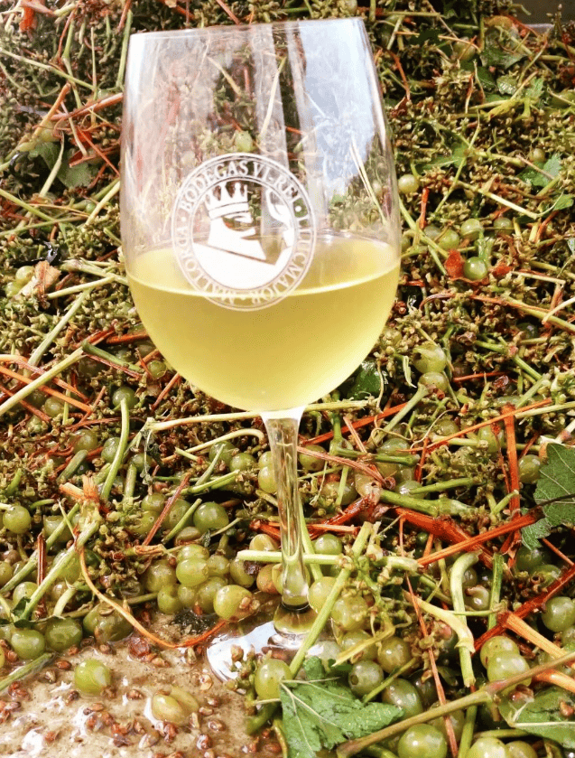 Imagen de copa de vino blanco con el logotipo de Bodegas Vi Rei grabado en el cristal,
