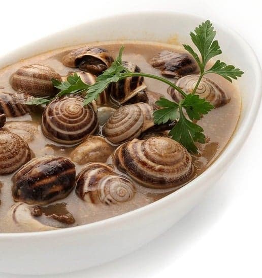 Mallorcan Food Bonplat