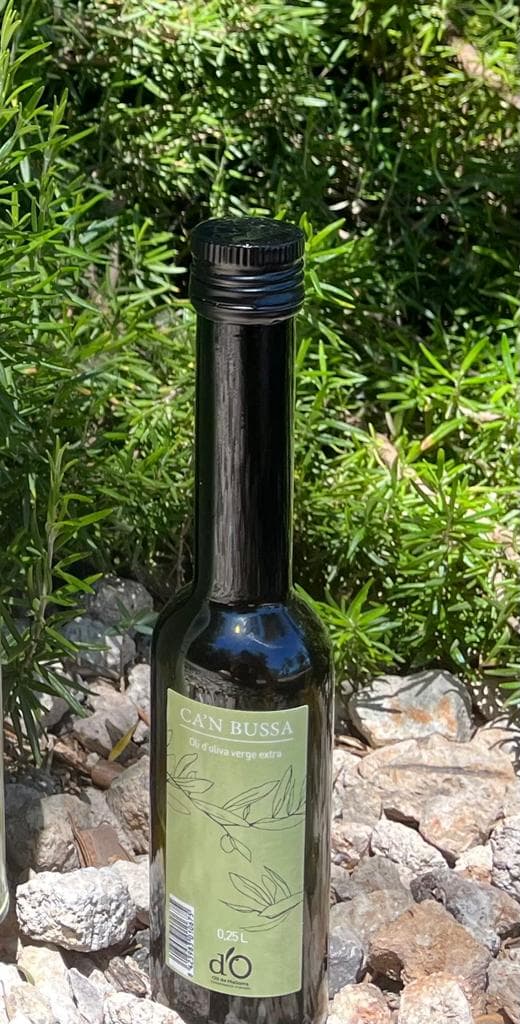 Bottle of extra virgin olive oil on stone ground and natural background