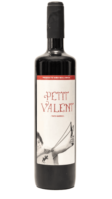 Bottle of red wine