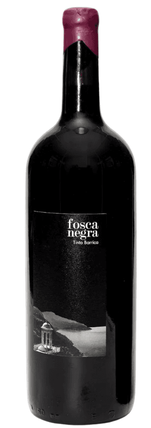 Image of magnum red wine bottle