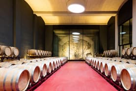 mallorca bodega