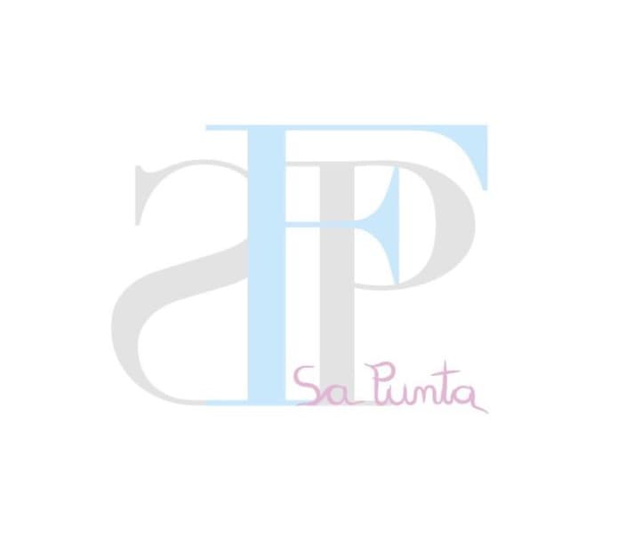 Logo of the wines of Finca sa Punta