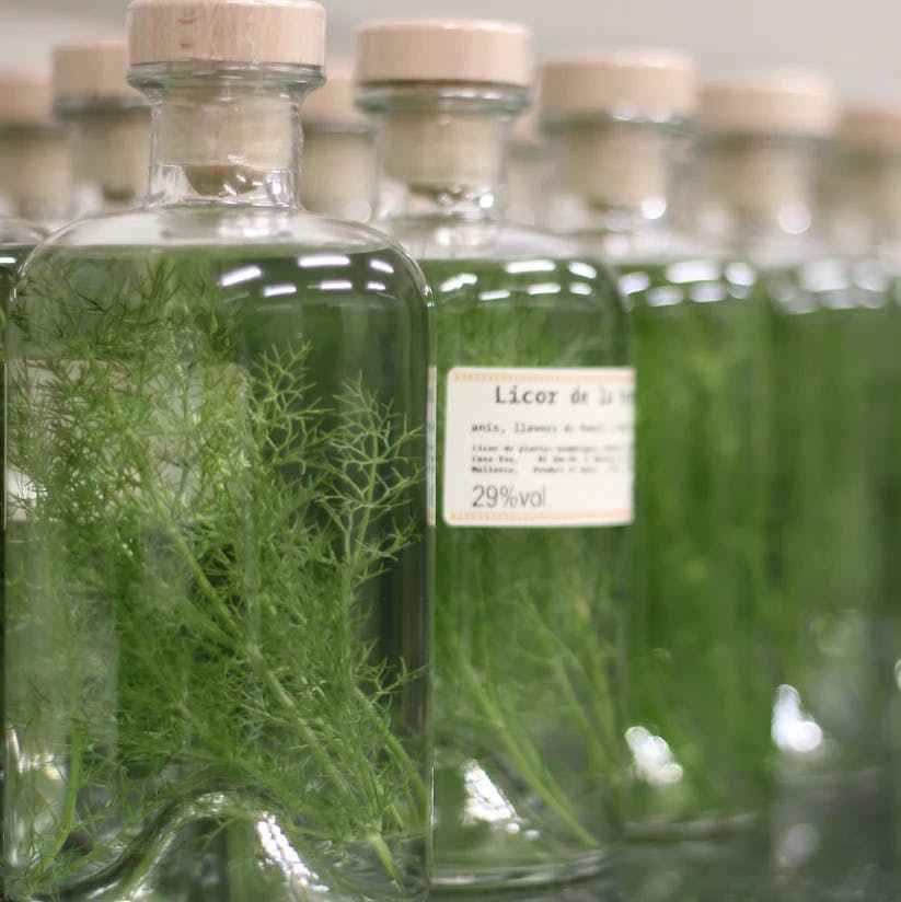 Image of Artisan Spirits Licor de la terra 0,5 L 29%vol. Several bottles 