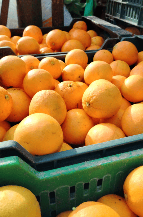 Juice orange boxes