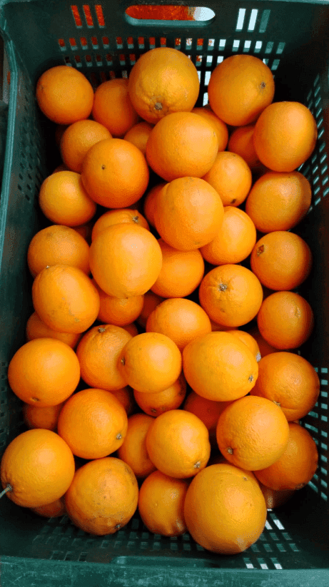 Picture of juice orange box