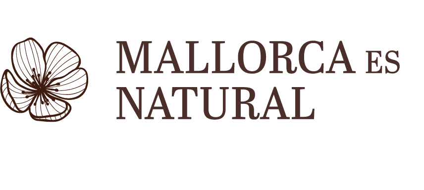 Die Mandelblüte aus dem Mallorca-Logo ist natürlich