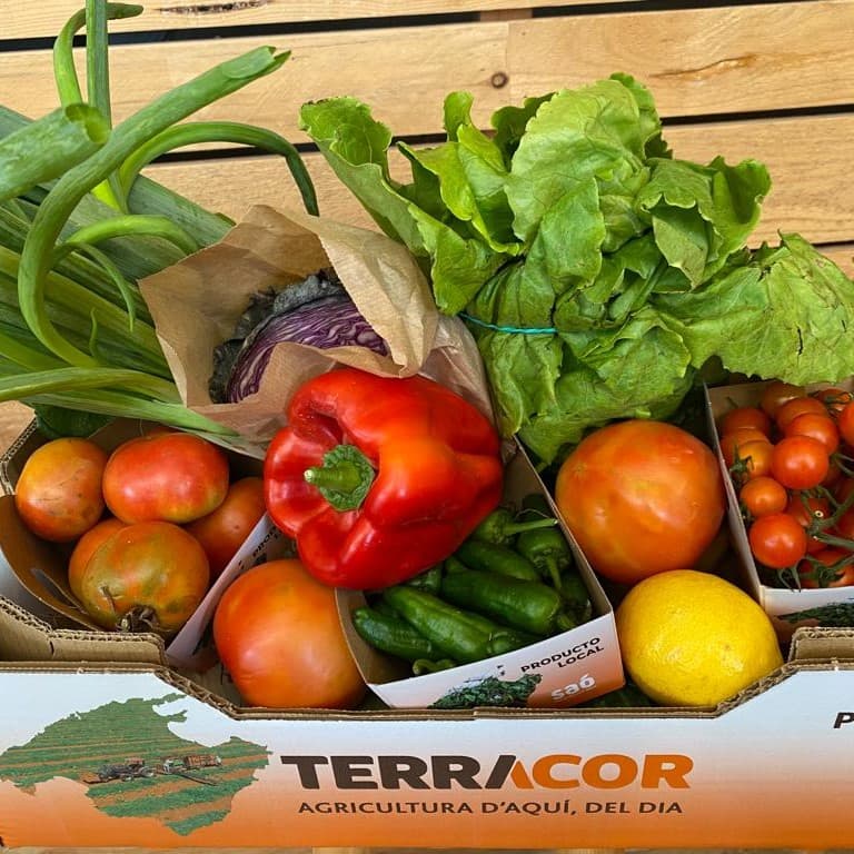 Imagen de Caja de Verduras Terracor con fondo de madera