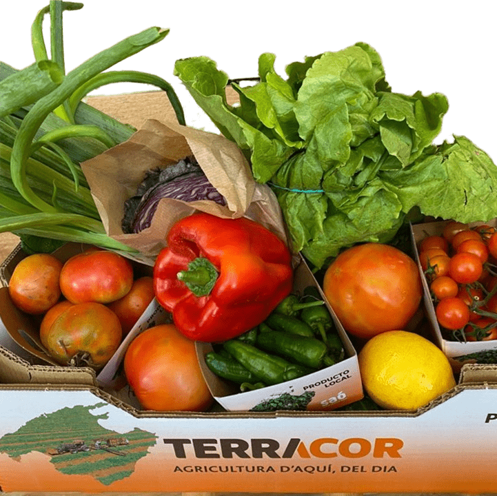 Imagen de Caja de Verduras Terracor