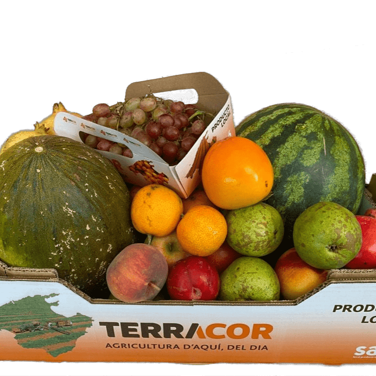 Imagen de Caja Terracor con frutas de temporada