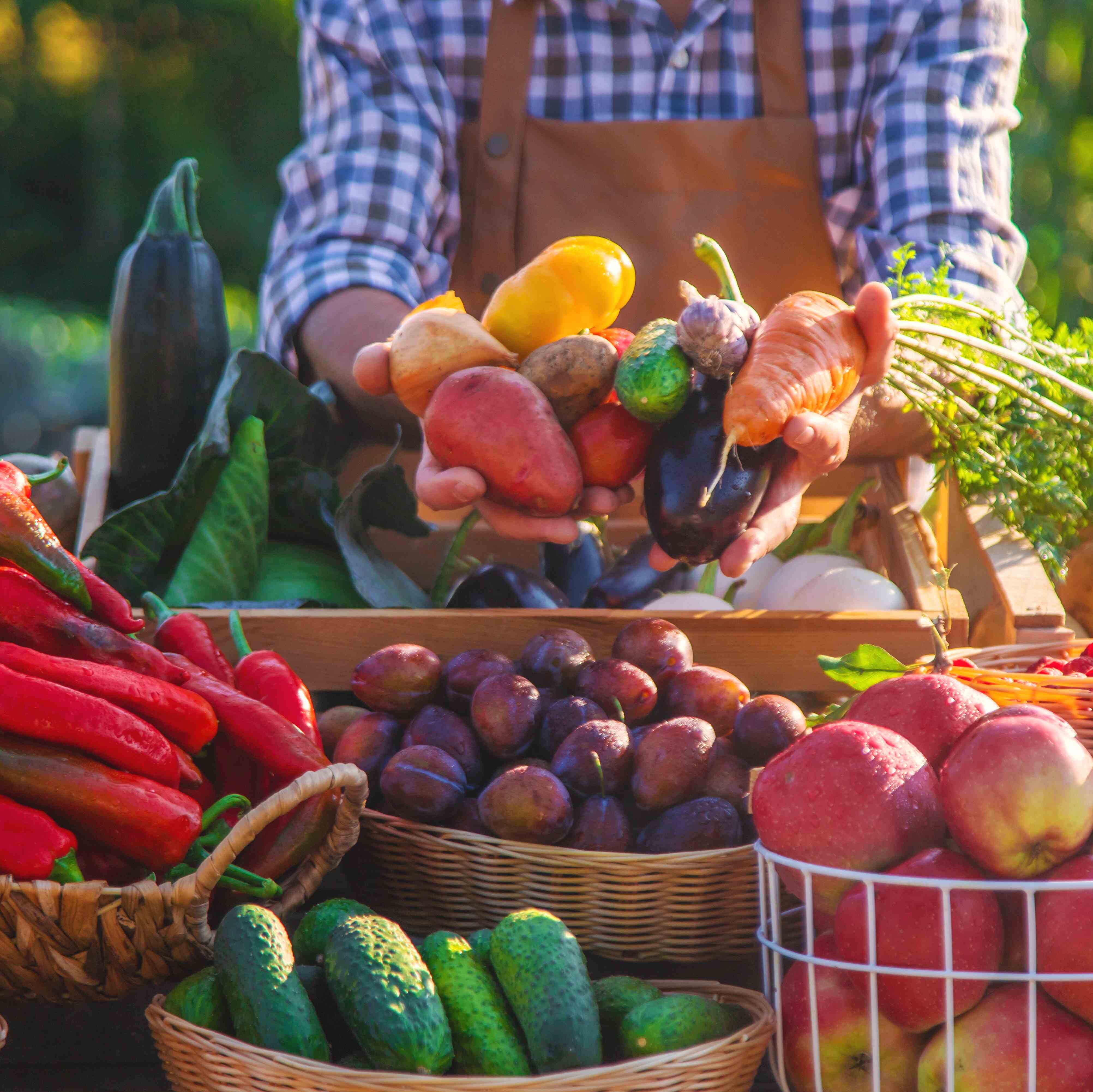 Imagen de Mix de Fruta y Verdura Terracor