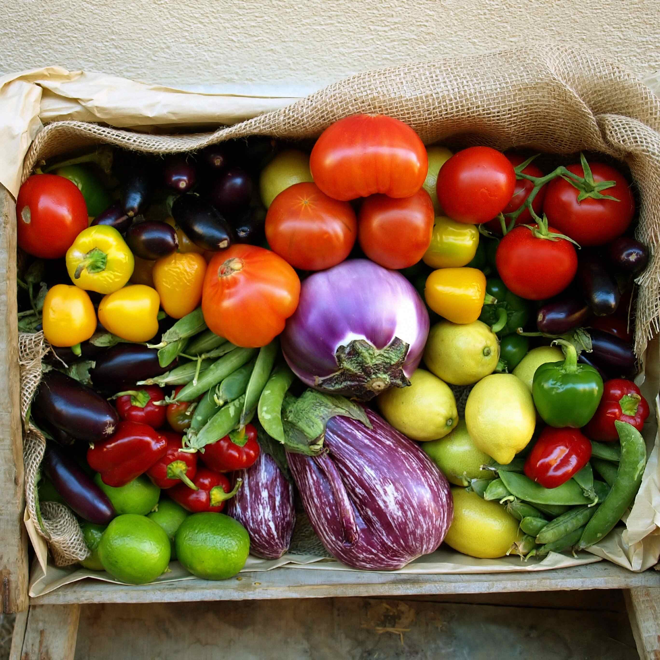 Imagen  con Presentación de verduras de Terracor