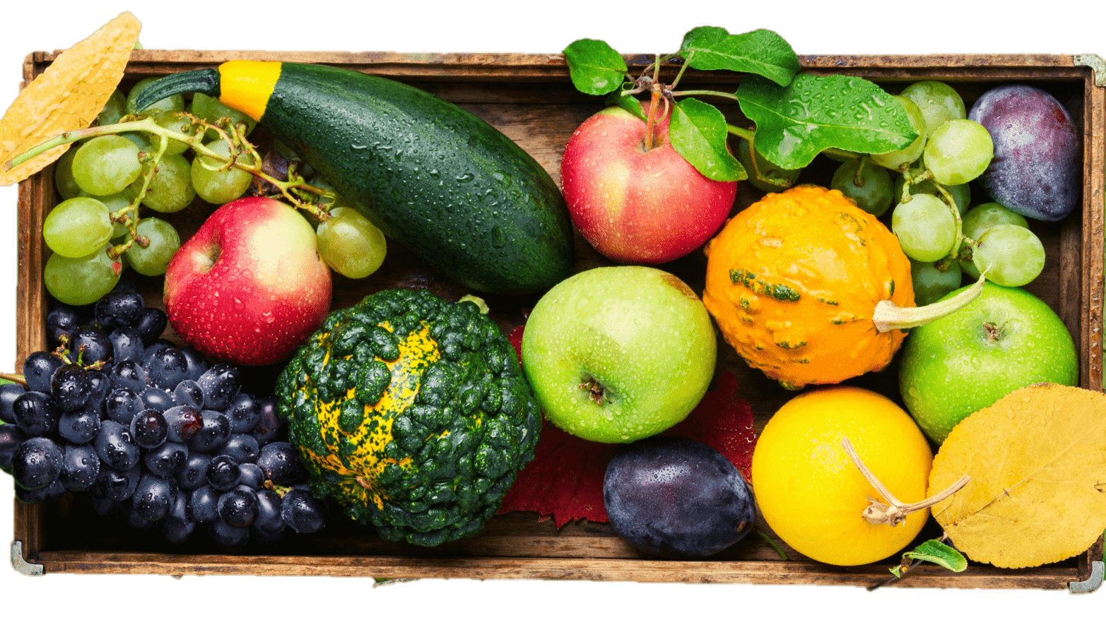 Close-up image of Terracor Vegetables 