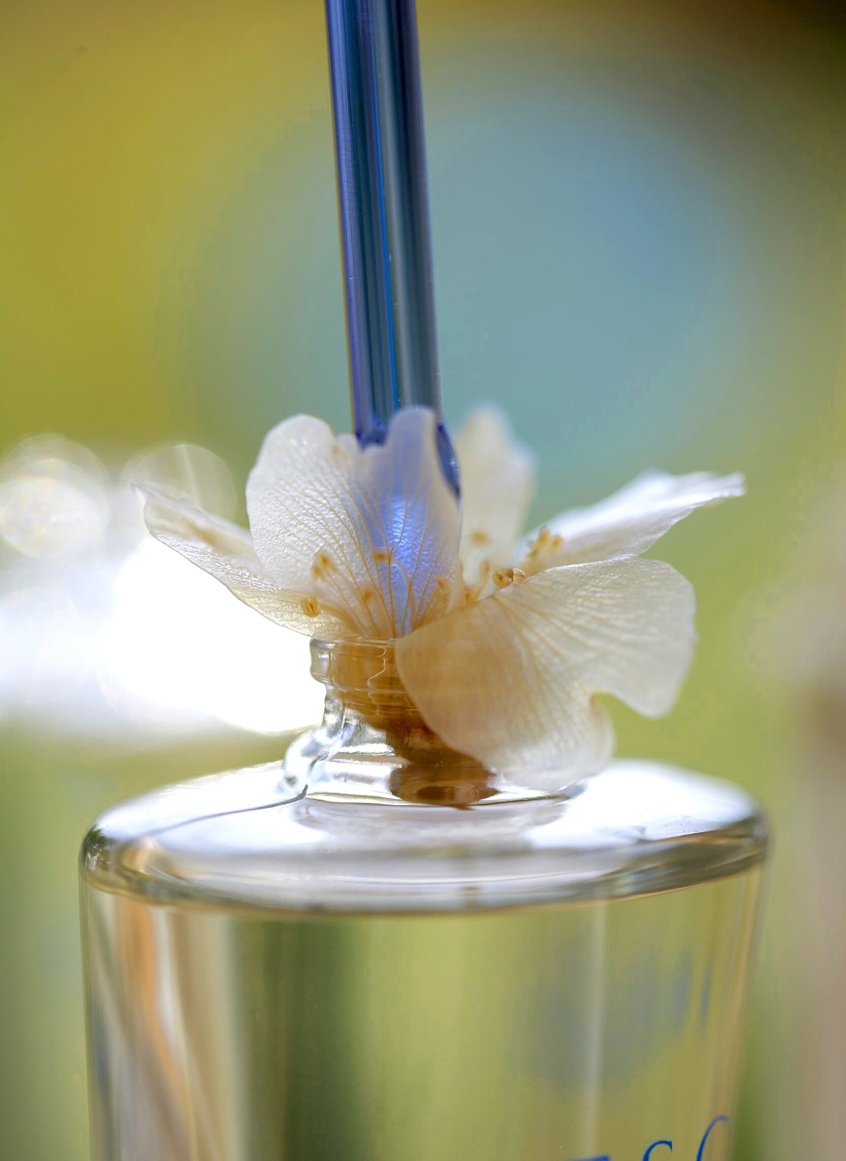 Introduction of the flower inside the perfume bottle