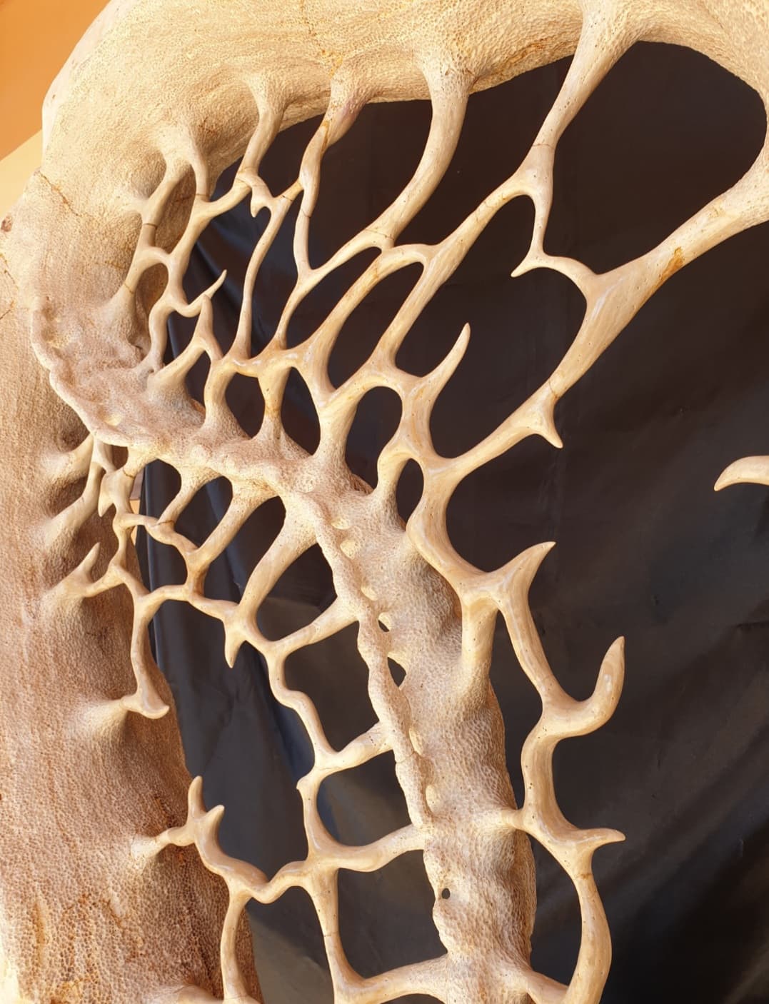 Vista de l'entramat que representa l'esquelet de l'escultura.