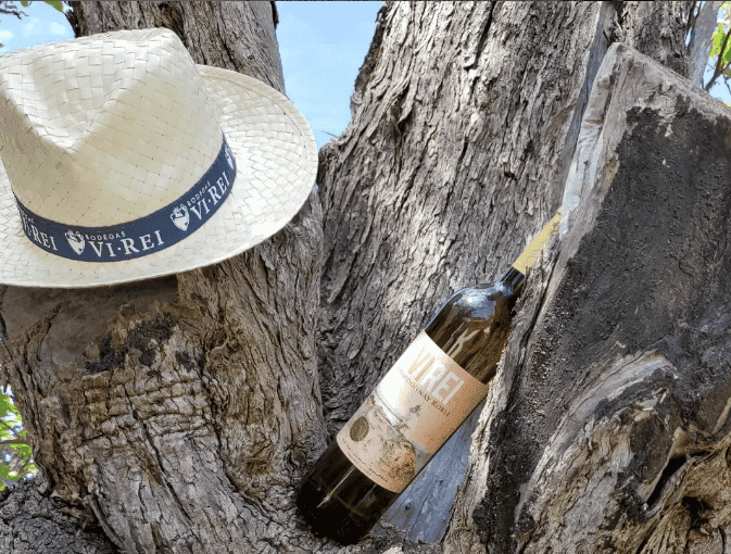 Botella de vino blanco Vi Rei Chardonnay Roble posada sobre la parte de la vid, similar a un tronco, junto a un gorro de Bodegas Vi Rei, creando un ambiente rústico y natural que resalta la conexión con la tierra y el proceso vinícola
