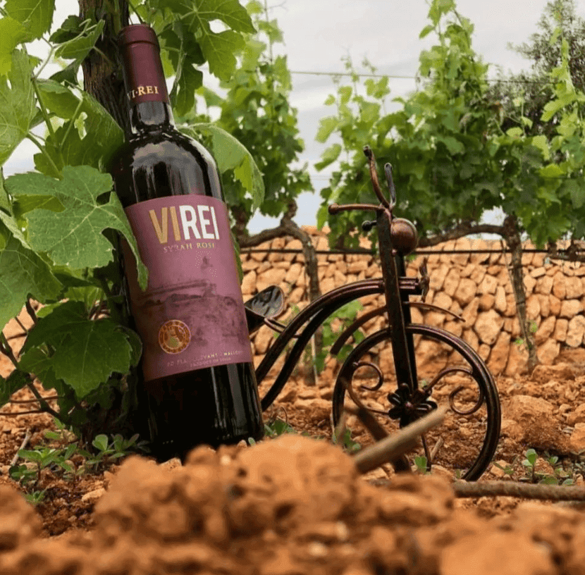 Botella de Vi Rei Syrah Rosé recolzada en una vinya, col·locada sobre el terra de les vinyes, destacant un entorn natural i autèntic que reflecteix el seu origen