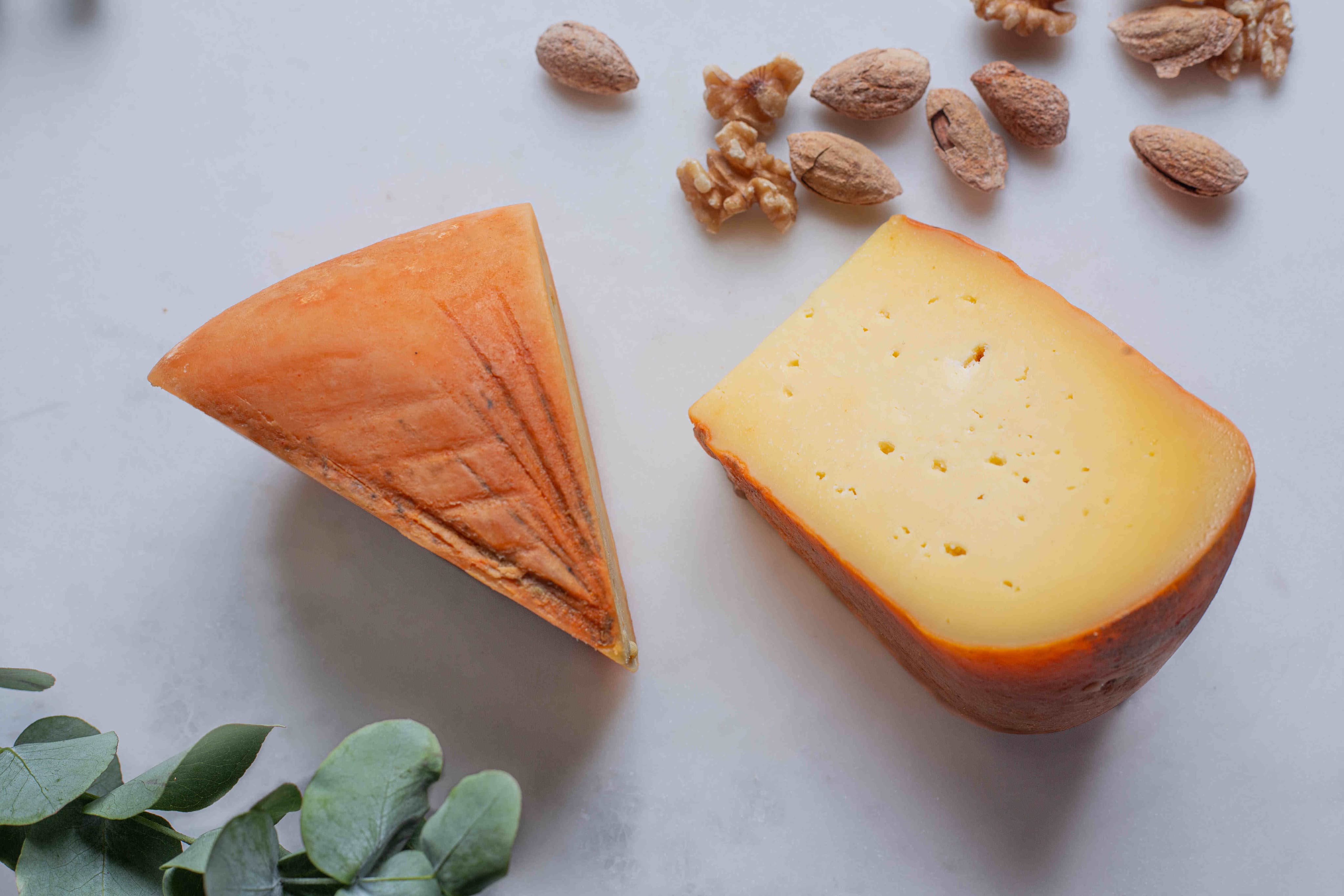 Image of a cut artisan semi-cured cheese