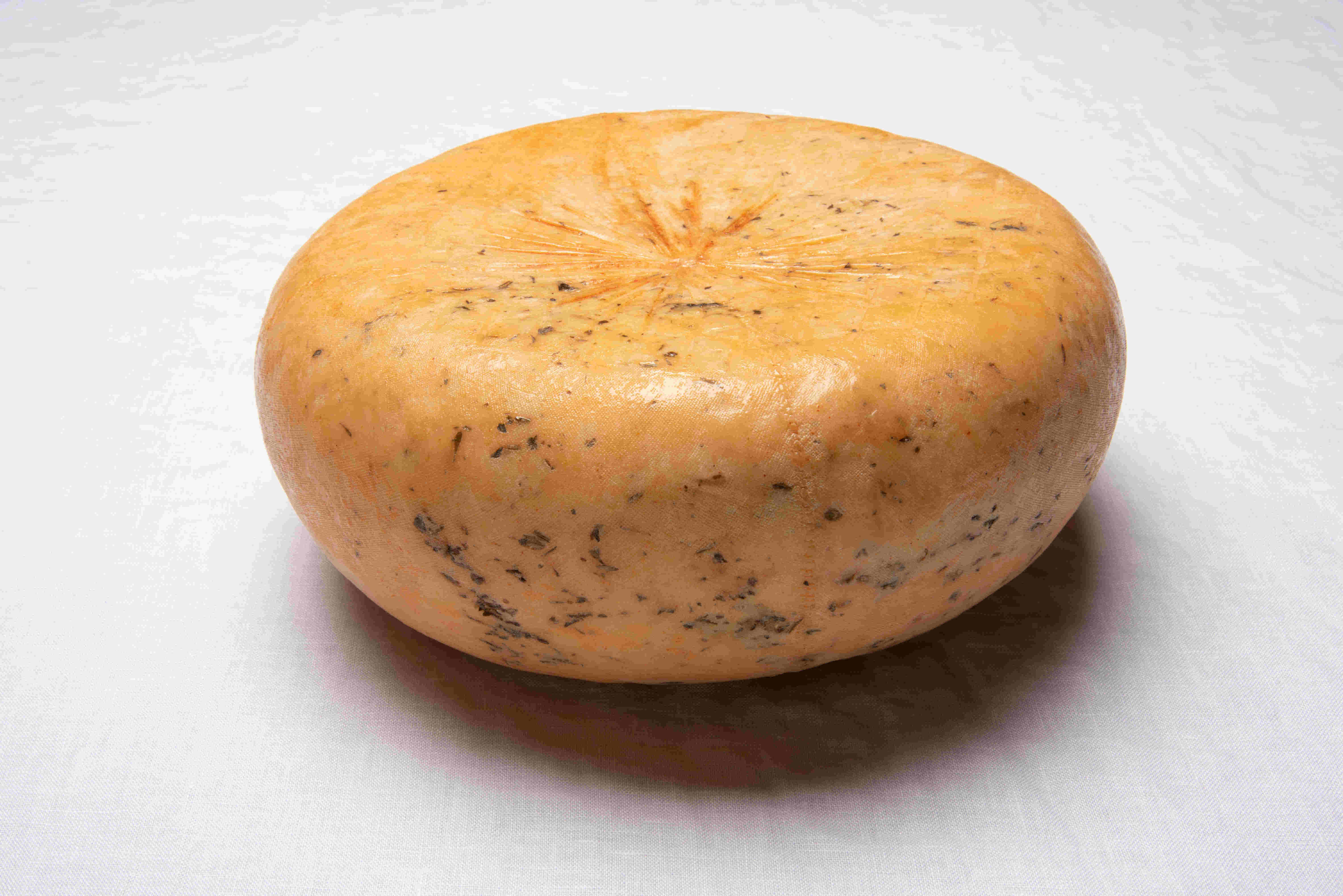 Imagen de un queso semicurado a las finas hierbas artesano entero.