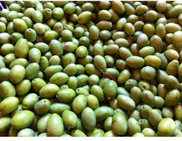 Image of Es Verger olives