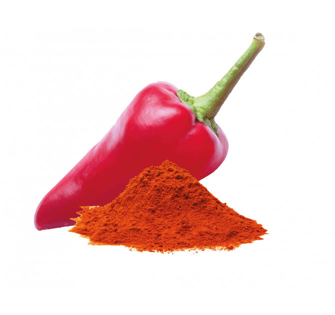 Bild von Corti Paprika und Paprika süß aus Mallorca