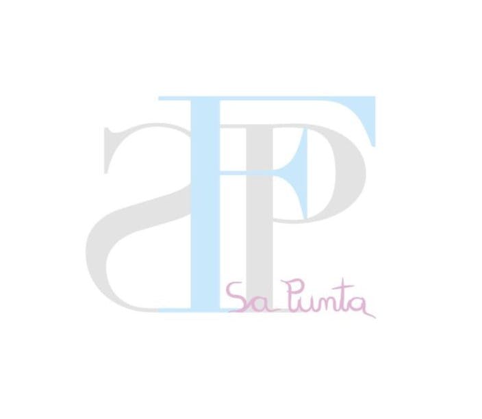 Logo dels vins de la Finca sa Punta