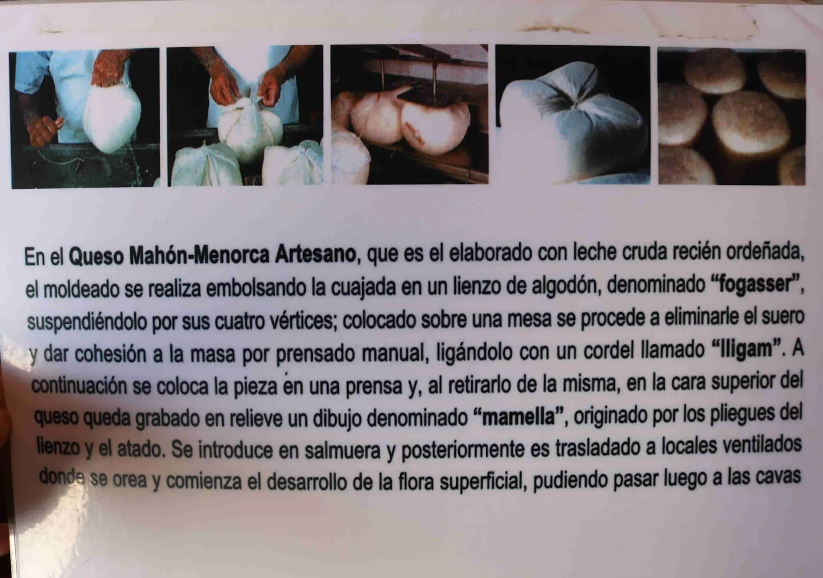 Imatge d'Etiqueta de Formatge Santa Catalina
