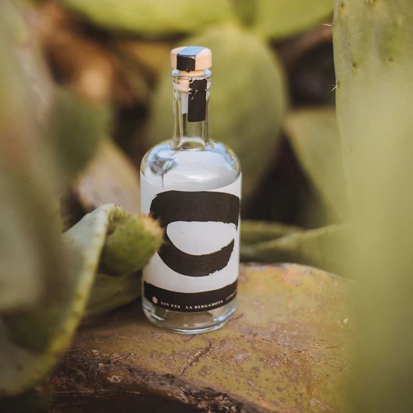 Imagen de Gin Eva "La Bergamota" Mallorca dry Gin 0,7 L 45%vol.