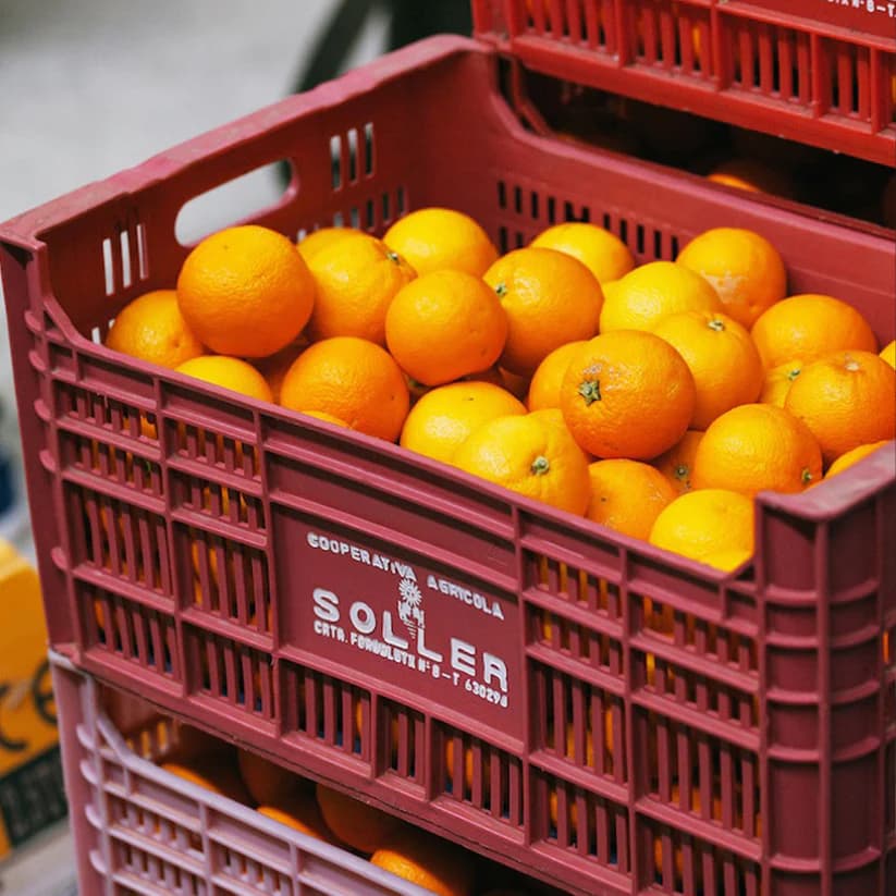 Imagen de Gin Eva "La Canoneta" Mallorca Dry Gin - Caja de naranjas Canoneta