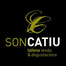Logo in Son Catiu speichern