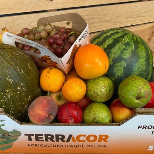 Imatge de Caixa de fruites Terracor amb fons de fustes