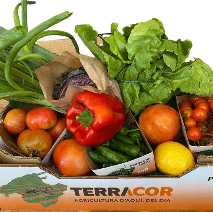Image of Terracor Vegetable Box